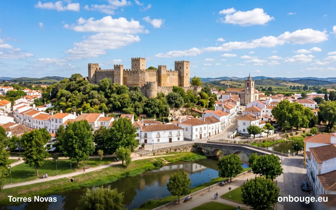 Vista de Torres Novas, o castelo e o rio Almonda